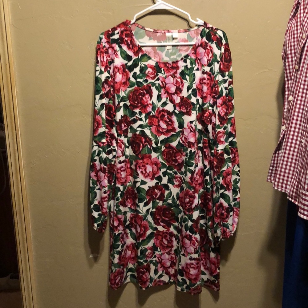 Long Sleeve Floral Dress. Like new. Worn once.